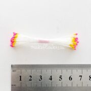 Тычинки каплевидные желтые с розовым верхом, крупные