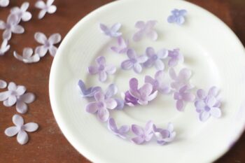 сирень из фоамирана
